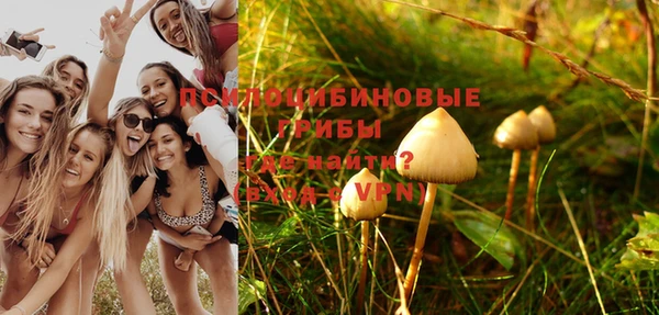 PSILOCYBIN Алексеевка