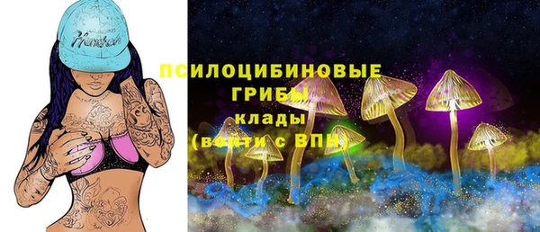 дмт Новокубанск