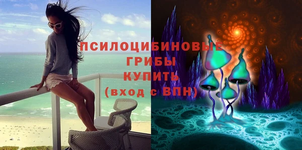 дмт Новокубанск