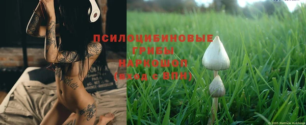 PSILOCYBIN Алексеевка