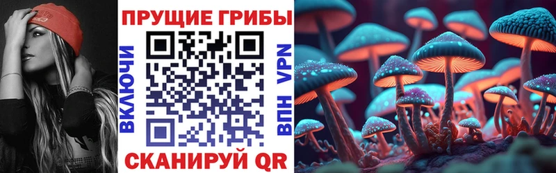 Псилоцибиновые грибы MAGIC MUSHROOMS  купить наркотик  Пустошка 